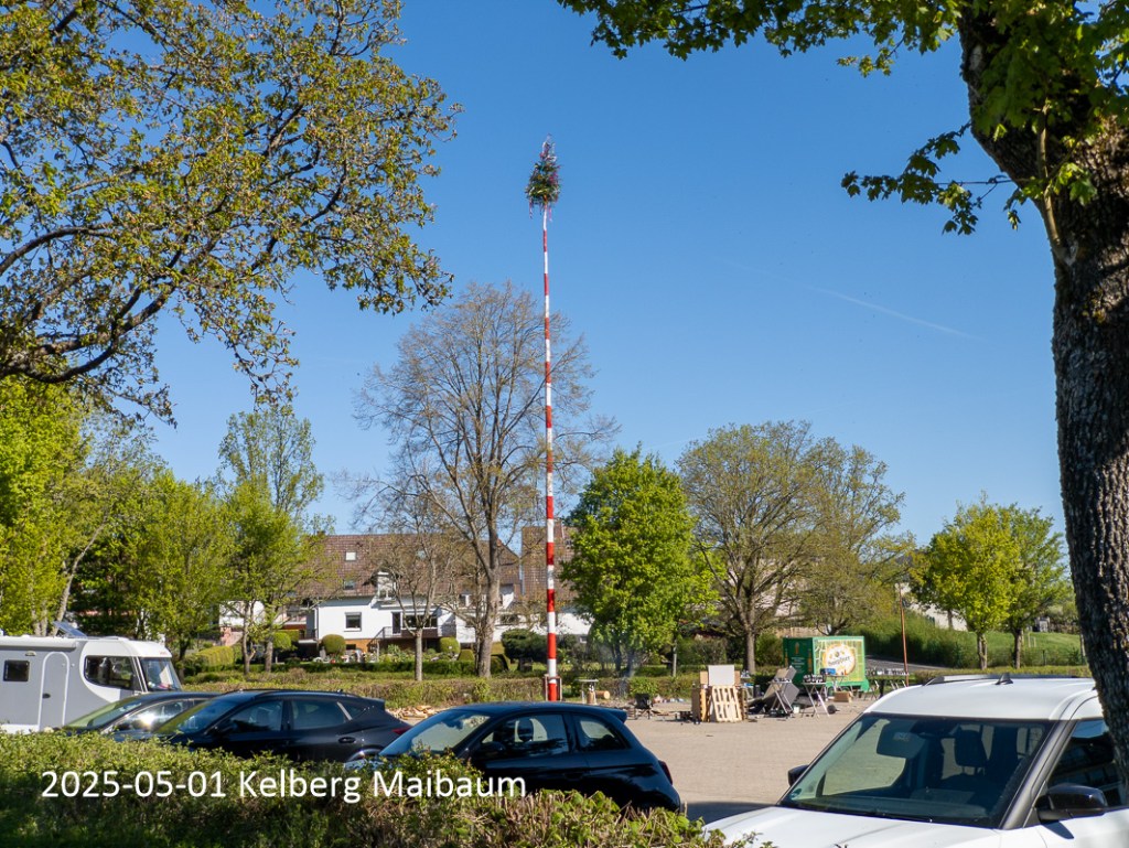 Alljährlich das Maibaum stellen der Jungesellen.